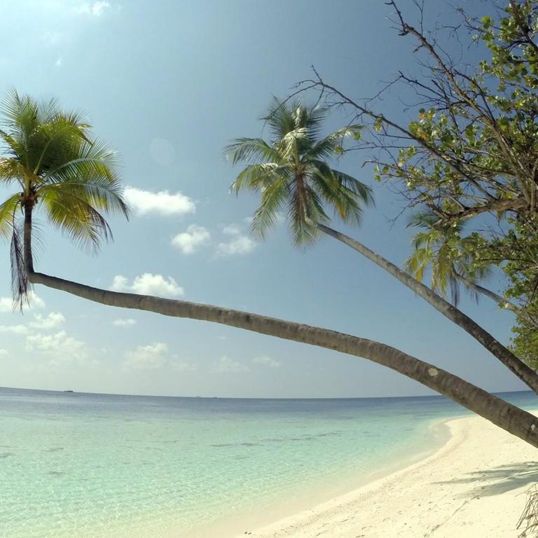 Palmenstrand auf einer Urlaubsinsel der Malediven des Ari Atolls, aufgenommen am 18.04.2014. Der Inselstaat Malediven liegt im indischen Ozean und besteht aus mehreren Atollen und mehr als 1.100 Inseln.