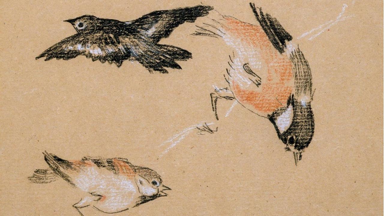 Illustration von fliegenden Vögeln. Illustration von fliegenden Vögeln.