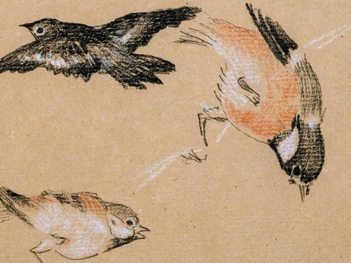 Illustration von fliegenden Vögeln.
