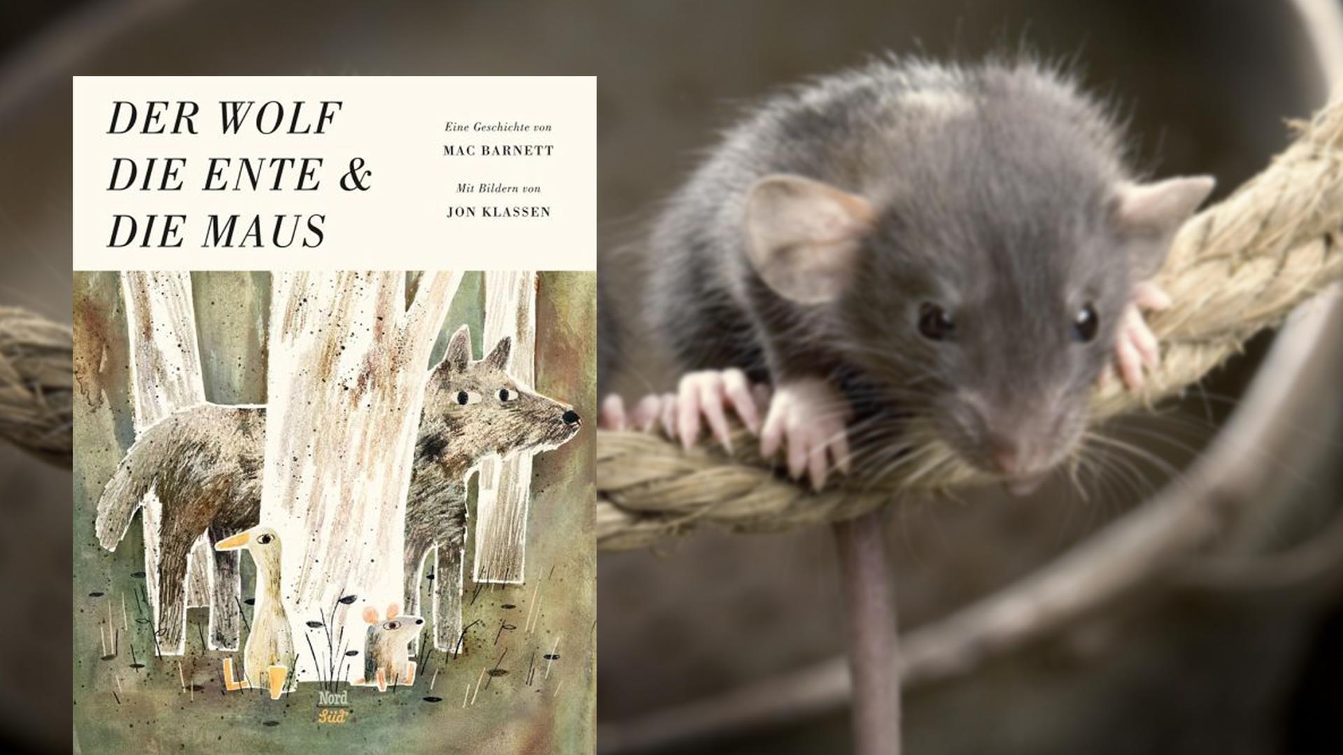 Buchcover: Mac Barnett/Jon Klassen: Der Wolf, die Ente und die Maus Buchcover: Mac Barnett/Jon Klassen: Der Wolf, die Ente und die Maus