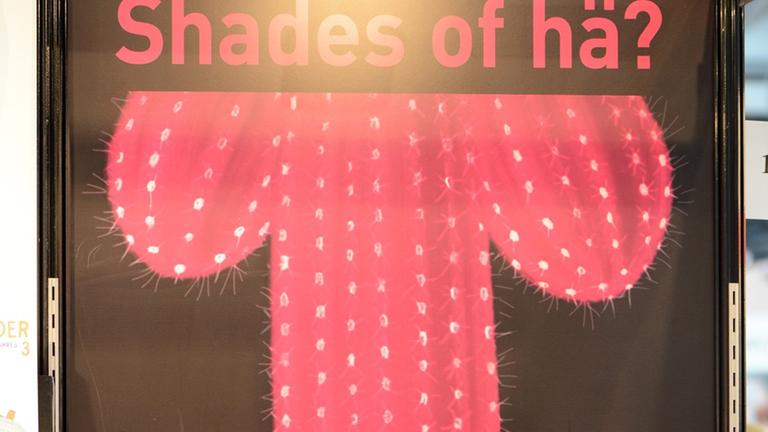 Ein Werbeplakat für den satirischen SM-Ratgeber "Shades of hä?" bei der Buchmesse in Leipzig vor zwei Jahren Ein Werbeplakat für den satirischen SM-Ratgeber "Shades of hä?" bei der Buchmesse in Leipzig vor zwei Jahren