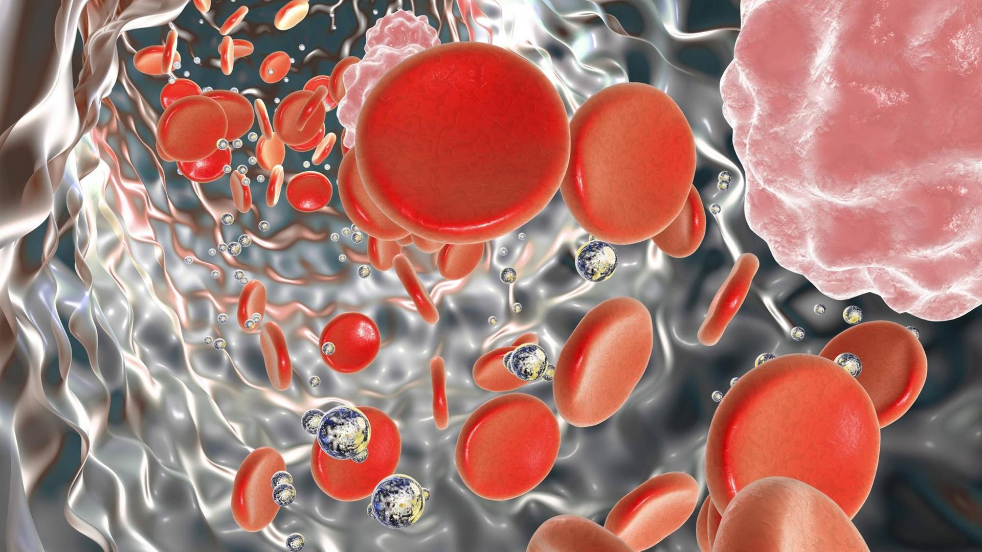Die Darstellung von Nanopartikeln im Blut. Die Darstellung von Nanopartikeln im Blut.