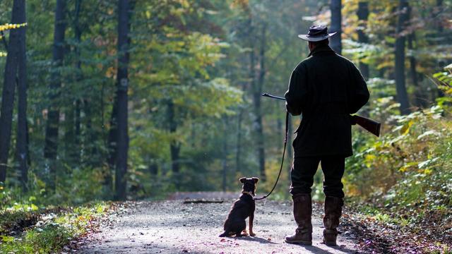 Ein Jäger mit seinem Jagdhund und seinem Gewehr auf einem Waldweg