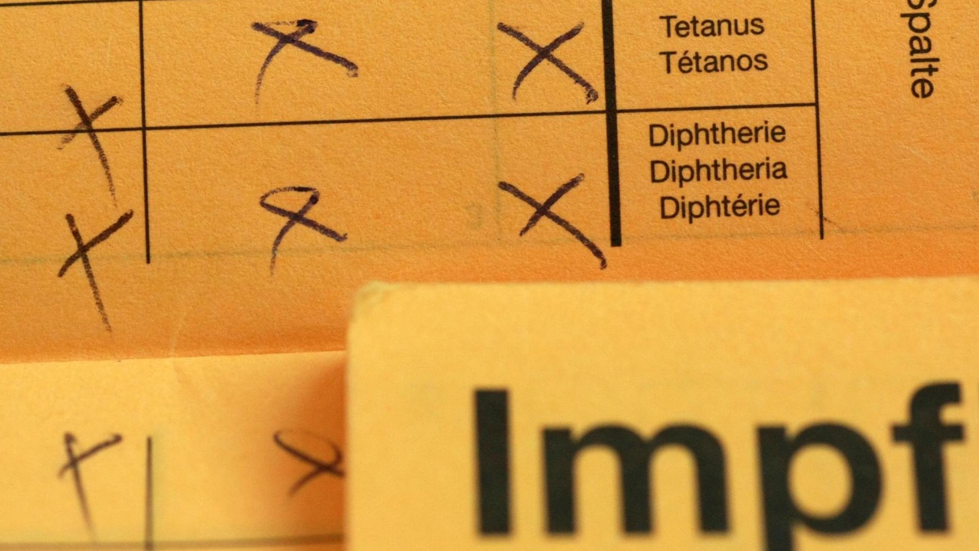 Ein Impfkalender mit Nachweisen für eine Tetanus- und Diphtherieimpfung. Ein Impfkalender mit Nachweisen für eine Tetanus- und Diphtherieimpfung.