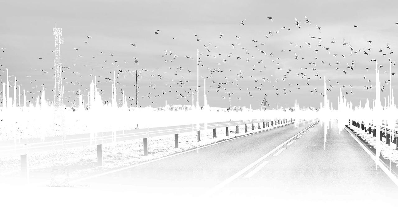 Eine verfremdete schwarzweiß Fotografie einer Straßenansicht und einem Vogelschwarm am Himmel.