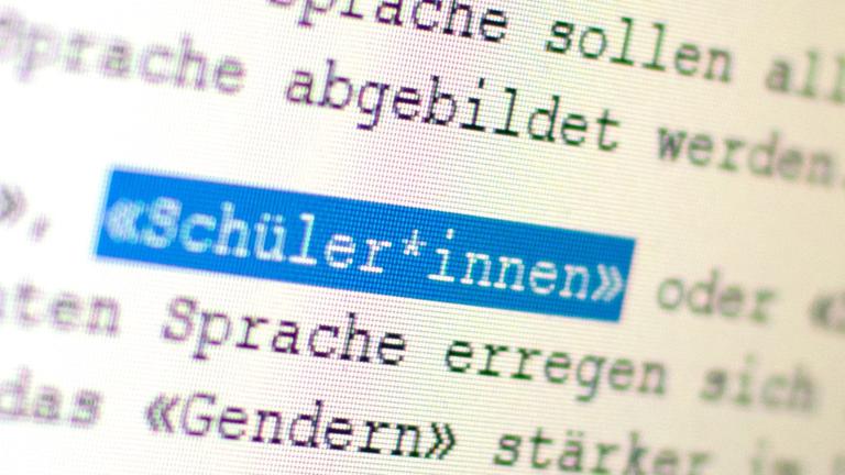 Auf einem Bildschirm ist das Wort «Schüler*innen» zu sehen. Auf einem Bildschirm ist das Wort «Schüler*innen» zu sehen.