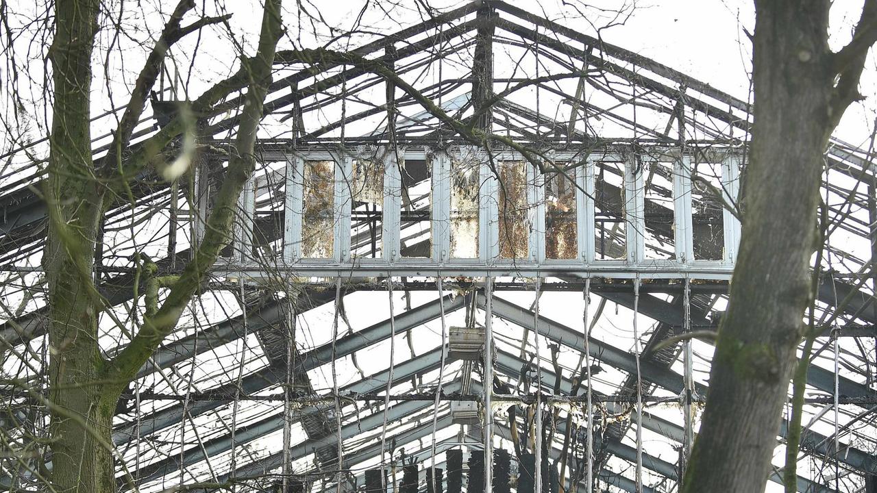 Die Reste des abgebrannten Affenhauses. Die Reste des abgebrannten Affenhauses.