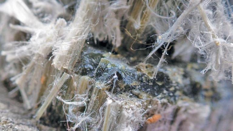 Asbestfasern. Etwa 4000 Menschen sterben jährlich in Australien an asbestbedingtem Krebs – mehr als drei Mal so viele wie durch Autounfälle. Asbestfasern. Etwa 4000 Menschen sterben jährlich in Australien an asbestbedingtem Krebs – mehr als drei Mal so viele wie durch Autounfälle.