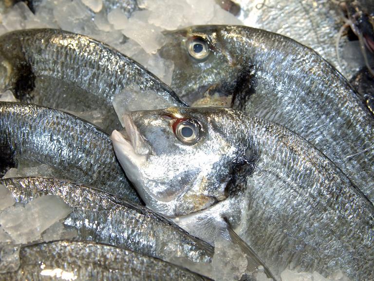 Fisch auf Eis: Fischtheke eines Großmarktes