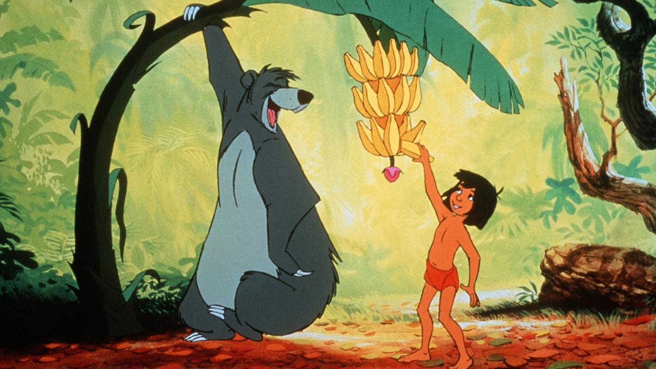 Den Film das Dschungelbuch kennt vermutlich jeder, besonders die berühmte Walt Disneys-Version. Den Film das Dschungelbuch kennt vermutlich jeder, besonders die berühmte Walt Disneys-Version.