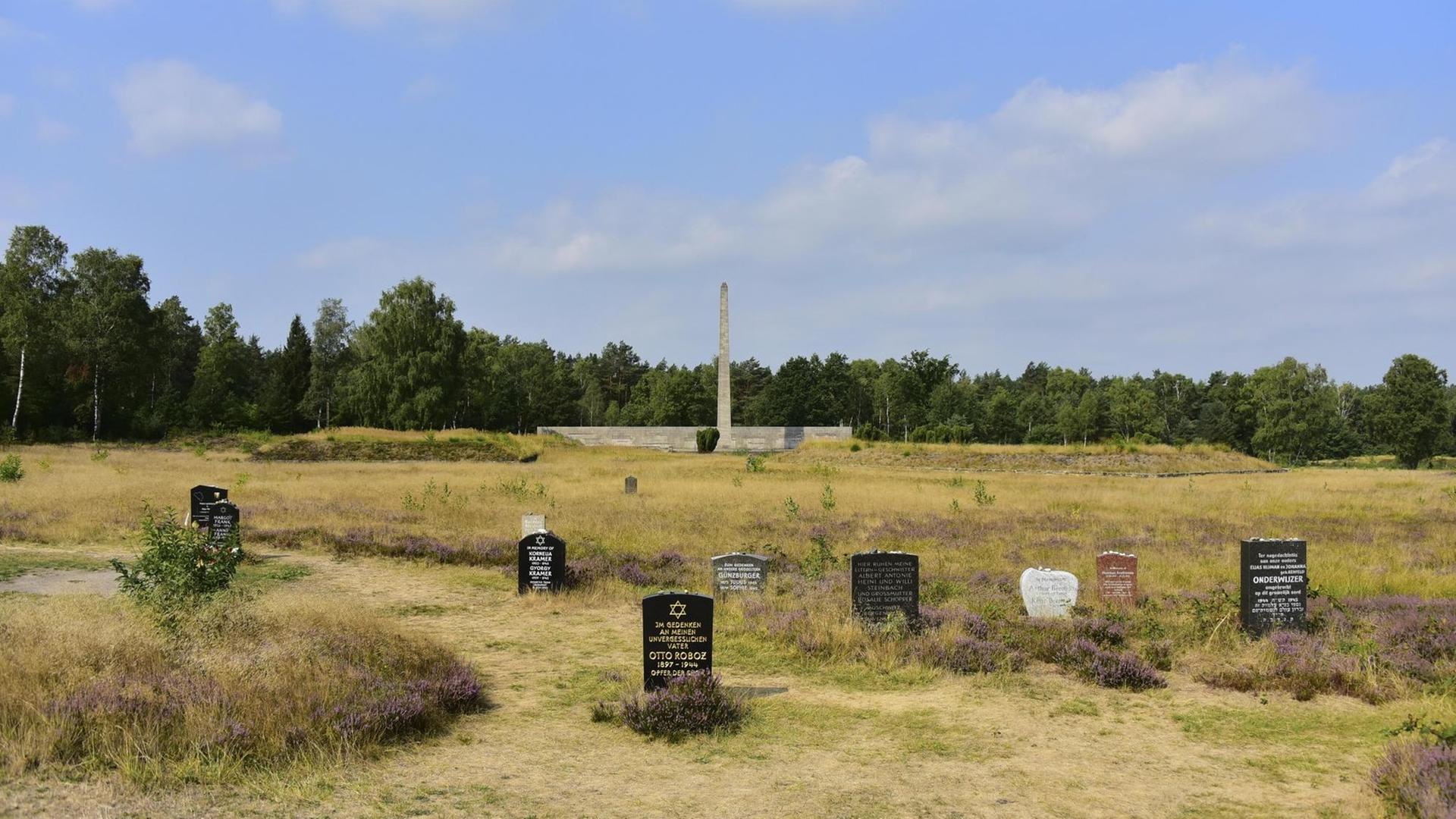 Auf einem weiten Feld stehen vereinzelt Grabsteine. Auf einem weiten Feld stehen vereinzelt Grabsteine.