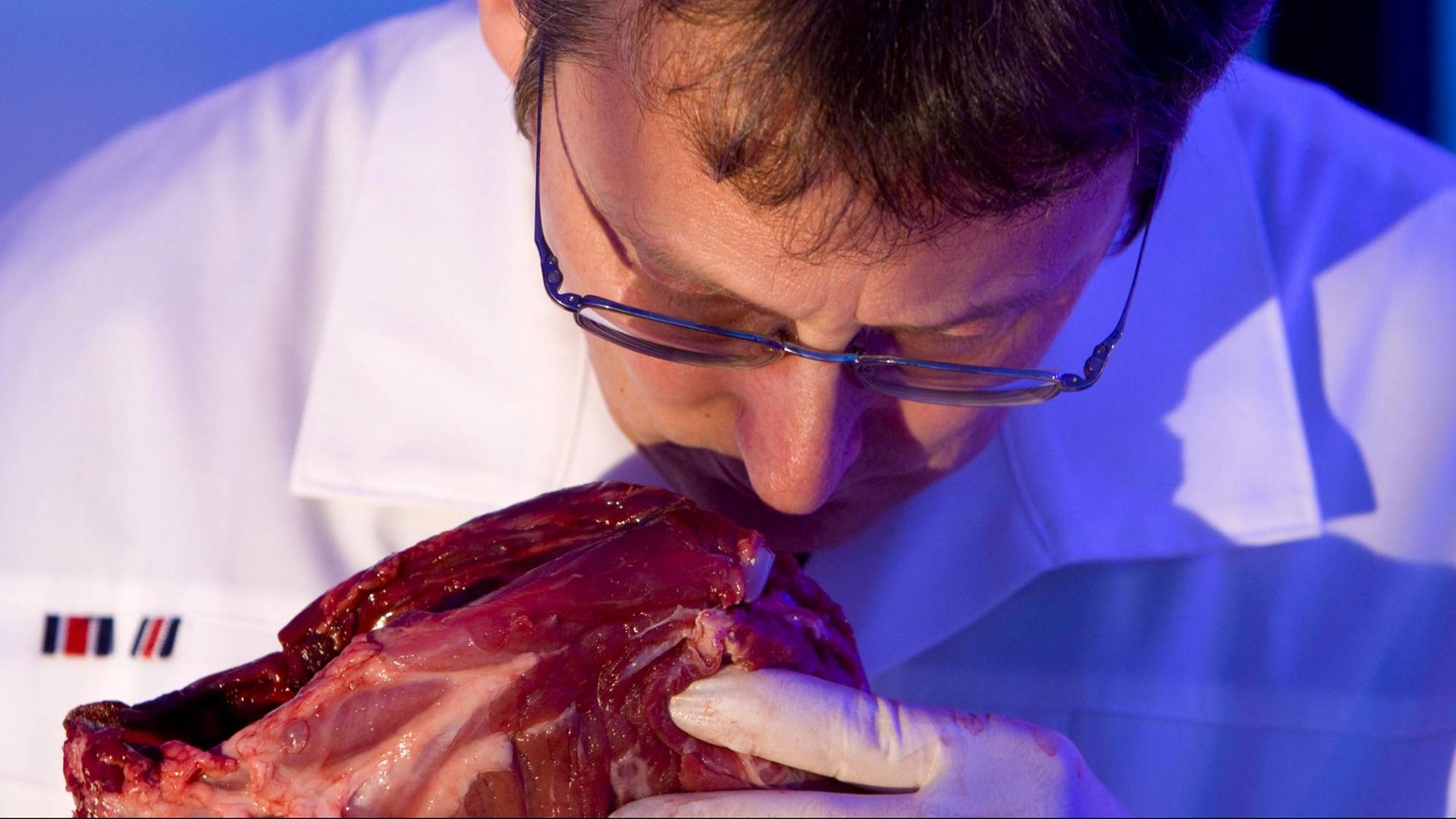 Geruchsprobe - mutmaßlich verdorbenes Fleisch wird im Labor untersucht Geruchsprobe - mutmaßlich verdorbenes Fleisch wird im Labor untersucht