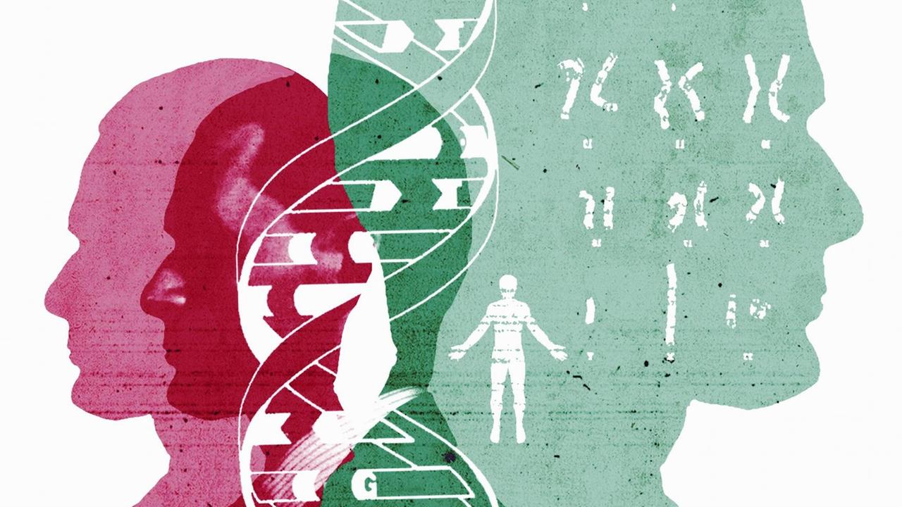 Eine Illustration zeigt Chromosome und Doppelhelix über den Silhouetten von rot und grün eingefärbten männlichen Köpfen. Eine Illustration zeigt Chromosome und Doppelhelix über den Silhouetten von rot und grün eingefärbten männlichen Köpfen.
