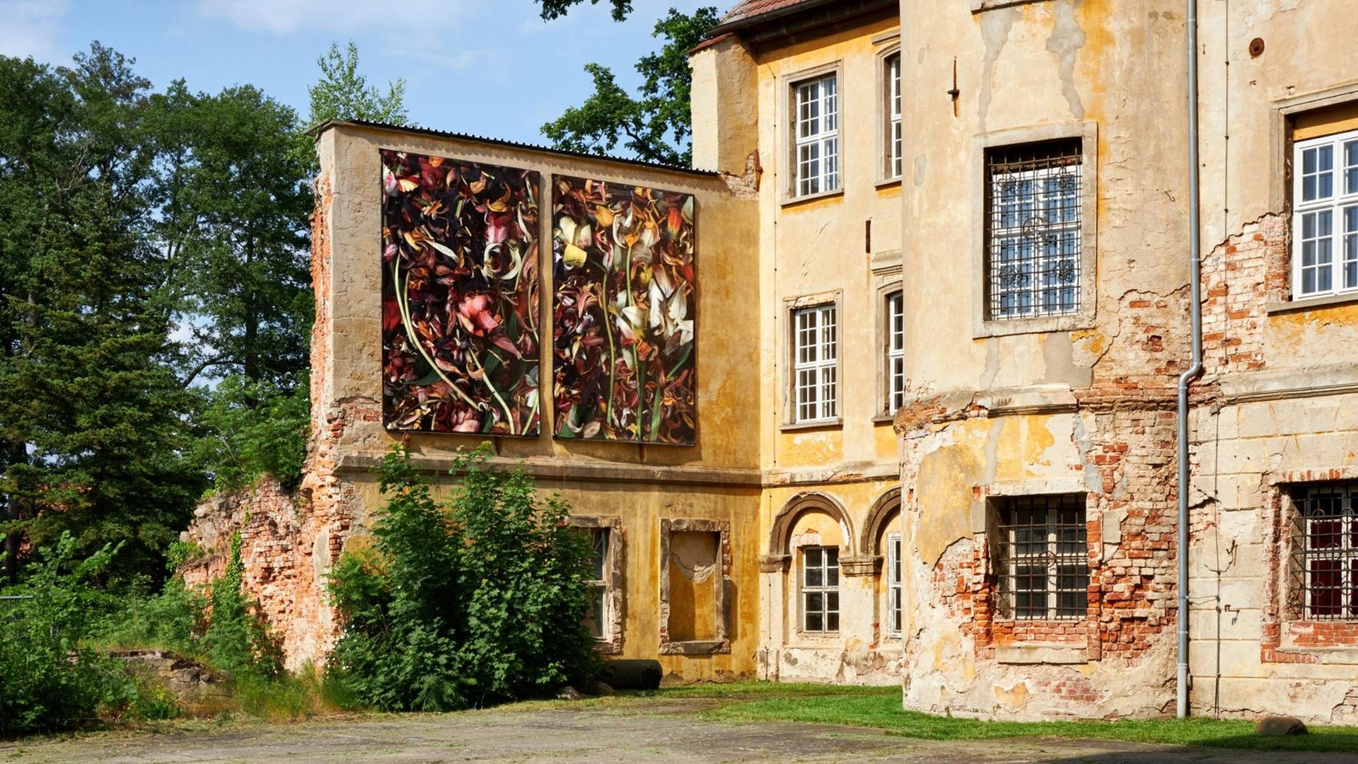 Luzia Simons' Stillleben an der Hausfassade von Schloss Lieberose. Luzia Simons' Stillleben an der Hausfassade von Schloss Lieberose.