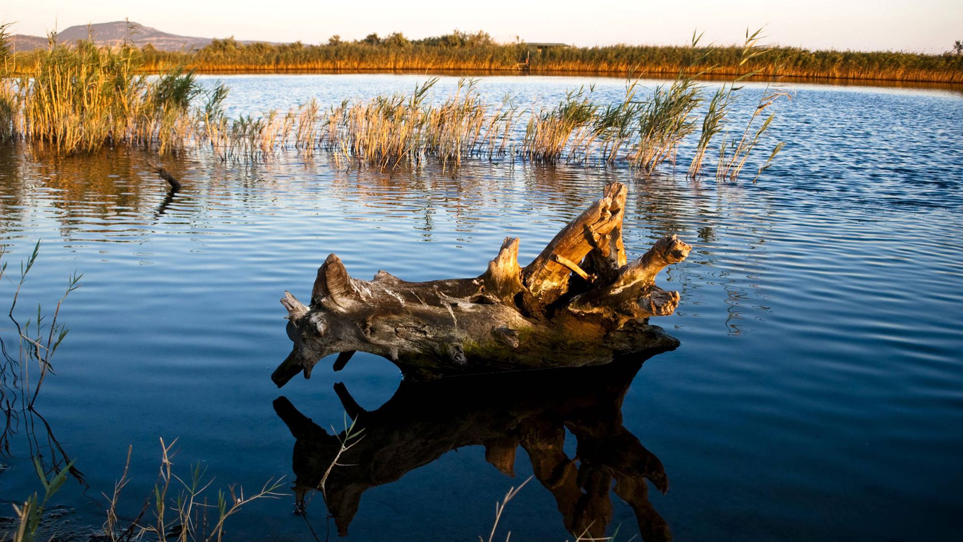 Das Evros-Delta - der Evros trennt Griechenland und die Türkei Das Evros-Delta - der Evros trennt Griechenland und die Türkei