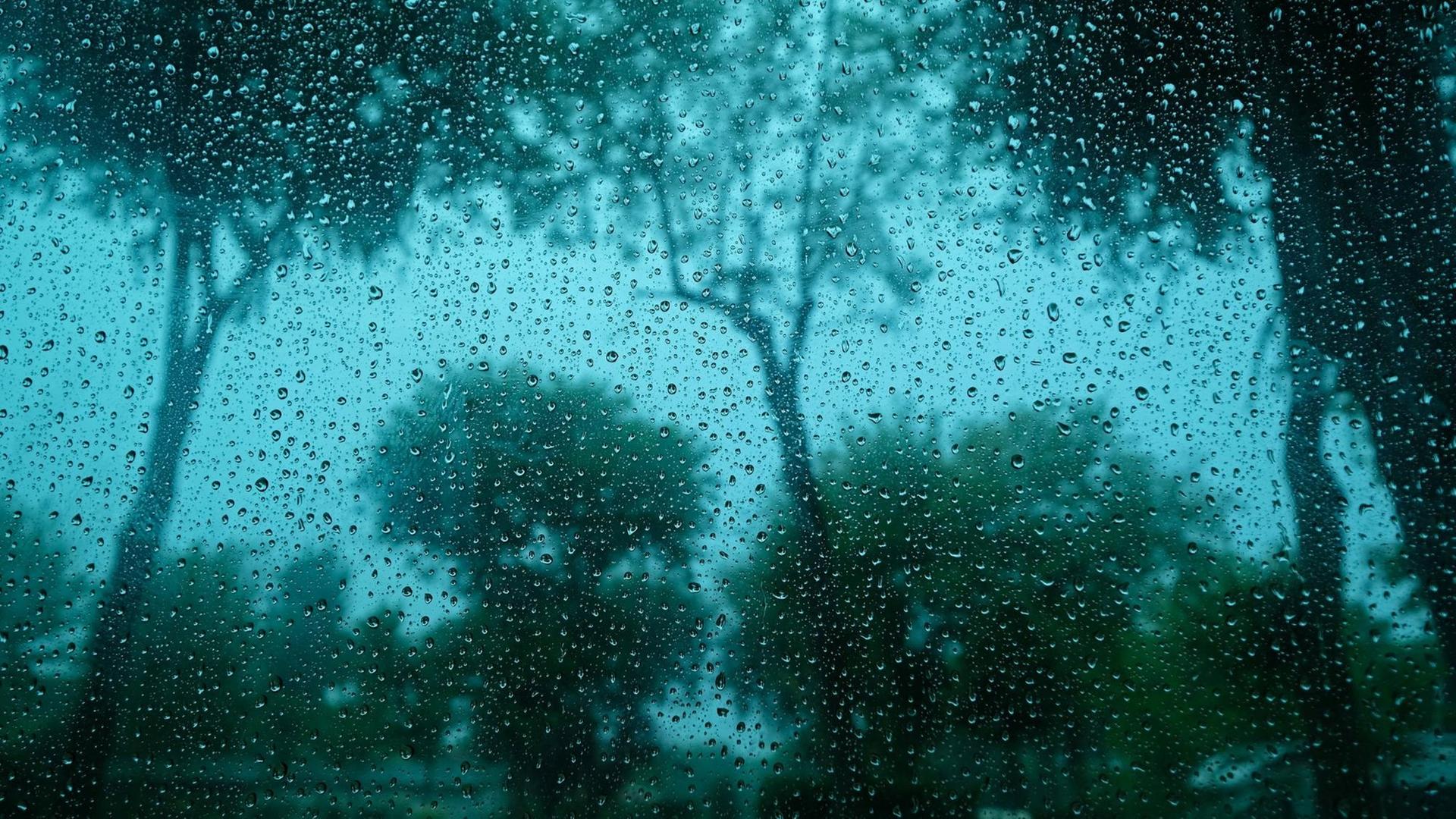 Regentropfen an einem Fenster - im Hintergrund sind Bäume und Büsche zu sehen. Regentropfen an einem Fenster - im Hintergrund sind Bäume und Büsche zu sehen.