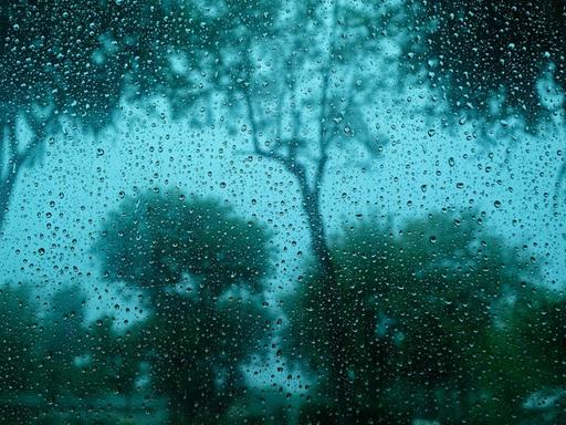 Regentropfen an einem Fenster - im Hintergrund sind Bäume und Büsche zu sehen.