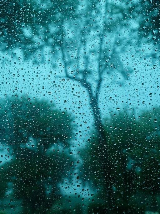 Regentropfen an einem Fenster - im Hintergrund sind Bäume und Büsche zu sehen.
