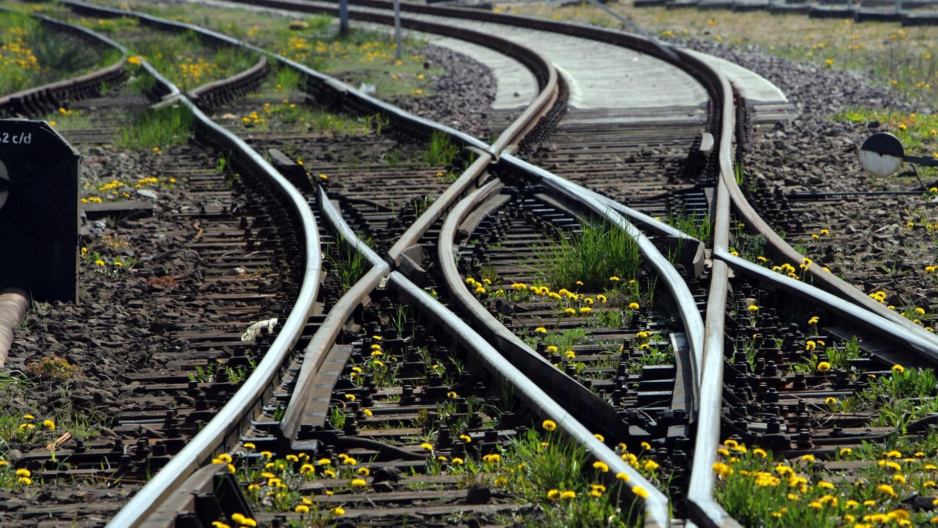 25 Jahre Bahnreform - Die Provinz Bleibt Auf Der Strecke