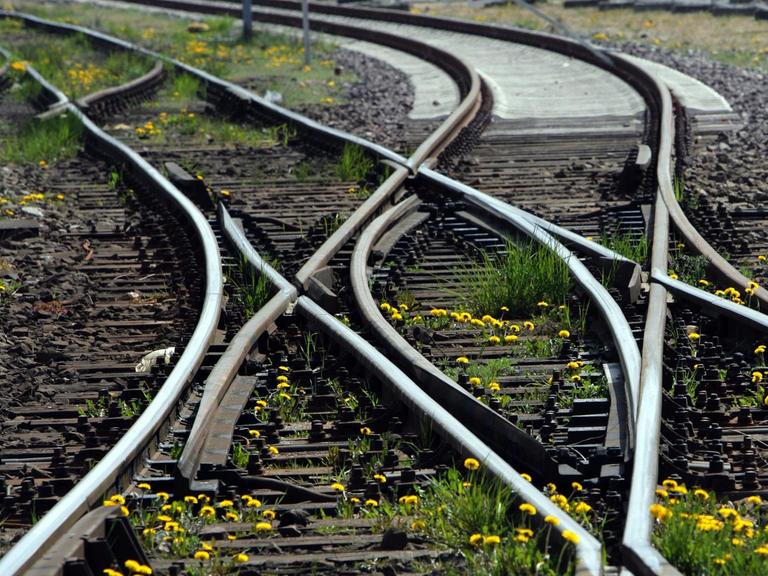 Eine Kreuzungsweiche in der Nähe des Bahnhofs in Wismar, aufgenommen am Montag (21.04.2008).