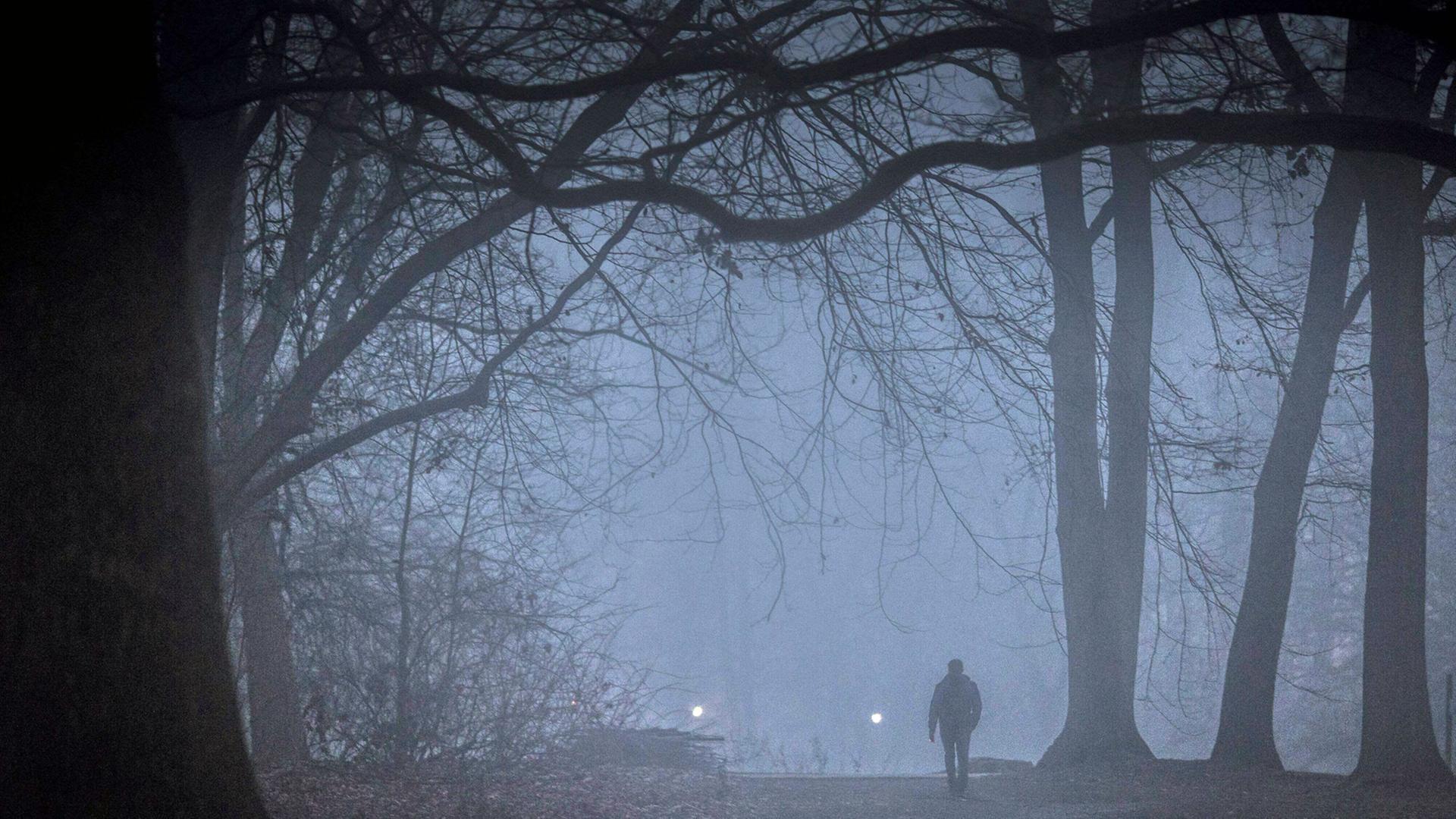 Ein Mann laeuft bei Nebel durch den Tiergarten in Berlin