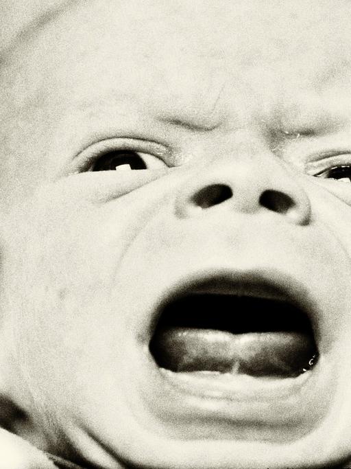Ein zwei Wochen altes männliches Baby schreit.