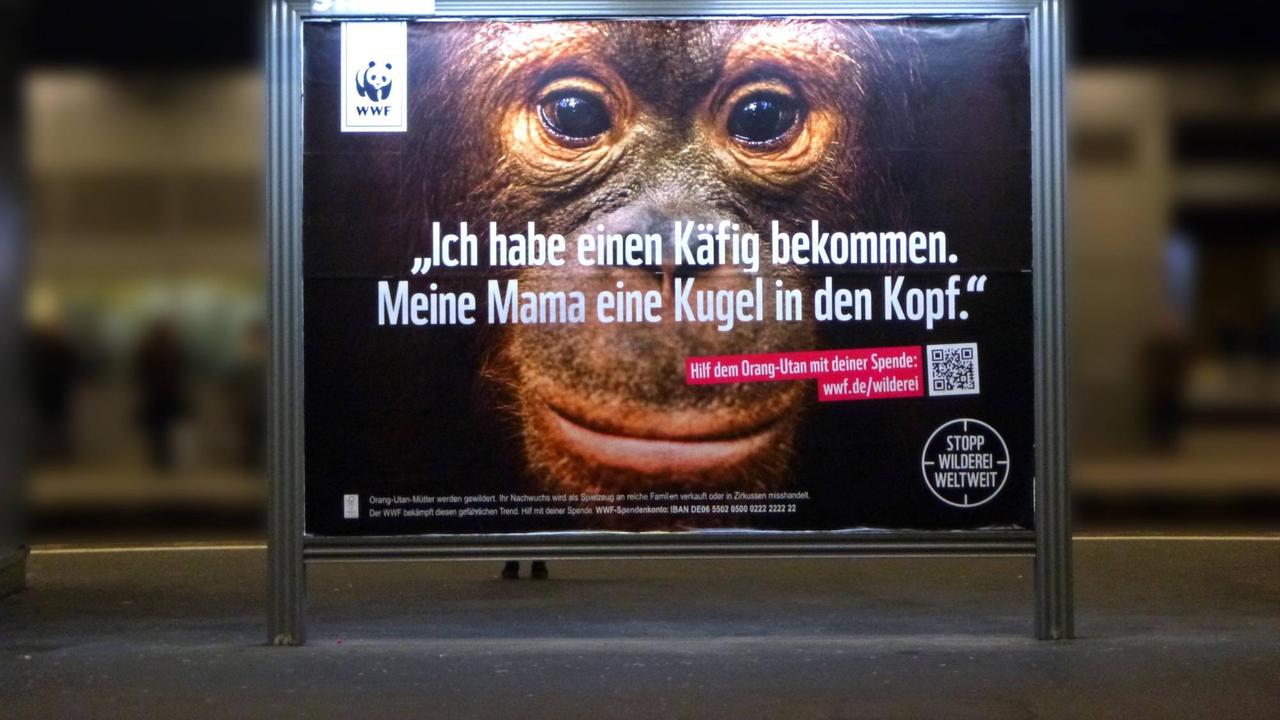 Plakat der Umweltstiftung Deutschland gegen die Wilderei auf der Welt. Plakat der Umweltstiftung Deutschland gegen die Wilderei auf der Welt.