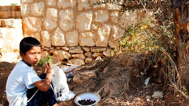 Ein syrischer Junge sitzt im Freien vor einem Teller mit Datteln.