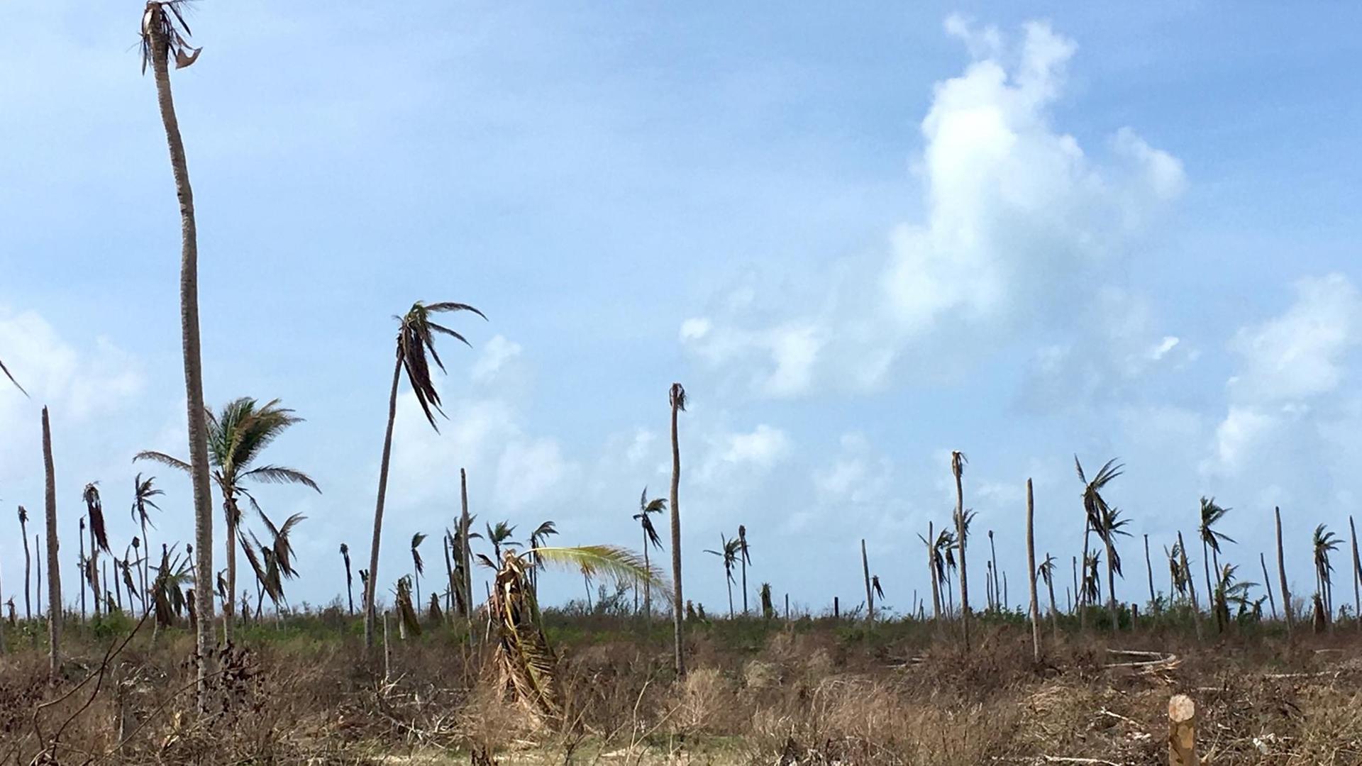 Menschen bewohnen die Karibikinsel Barbuda seit der Verwüstung durch Hurrikan Irma noch nicht wieder Menschen bewohnen die Karibikinsel Barbuda seit der Verwüstung durch Hurrikan Irma noch nicht wieder