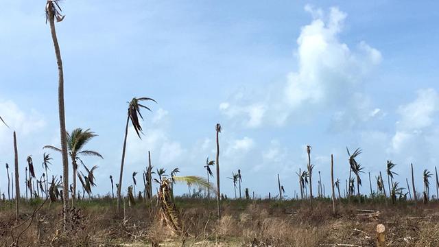 Menschen bewohnen die Karibikinsel Barbuda seit der Verwüstung durch Hurrikan Irma noch nicht wieder