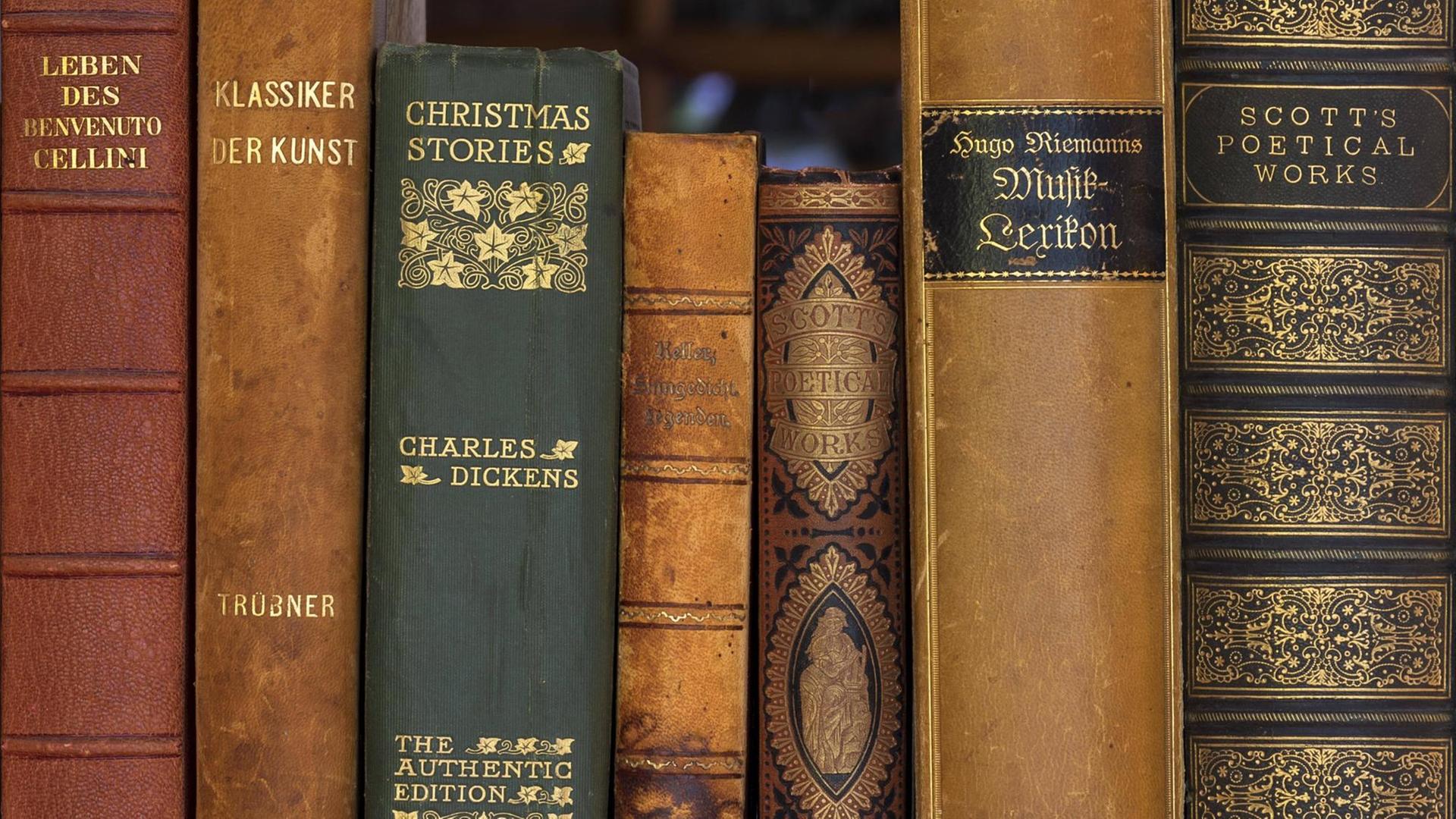 Sieben in Leder gebundene Buchrücken alter Klassiker wie Charles Dickens "Christmas Stories" in einem Regal stehend in Nahaufnahme. Sieben in Leder gebundene Buchrücken alter Klassiker wie Charles Dickens "Christmas Stories" in einem Regal stehend in Nahaufnahme.