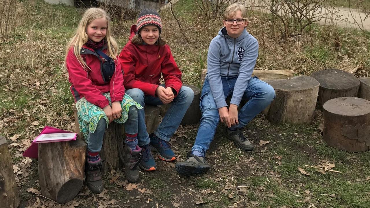 Die Wildnisdetektive Emma, Noel und Björn sitzen nebeneinander. Die Wildnisdetektive Emma, Noel und Björn sitzen nebeneinander.