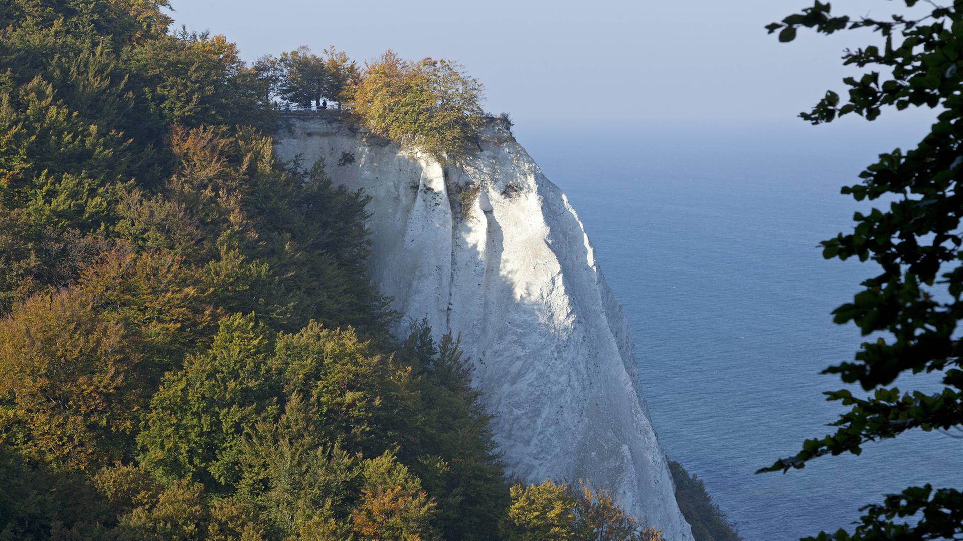 Königsstuhl, Nationalpark Jasmund, Insel Rügen Königsstuhl, Nationalpark Jasmund, Insel Rügen