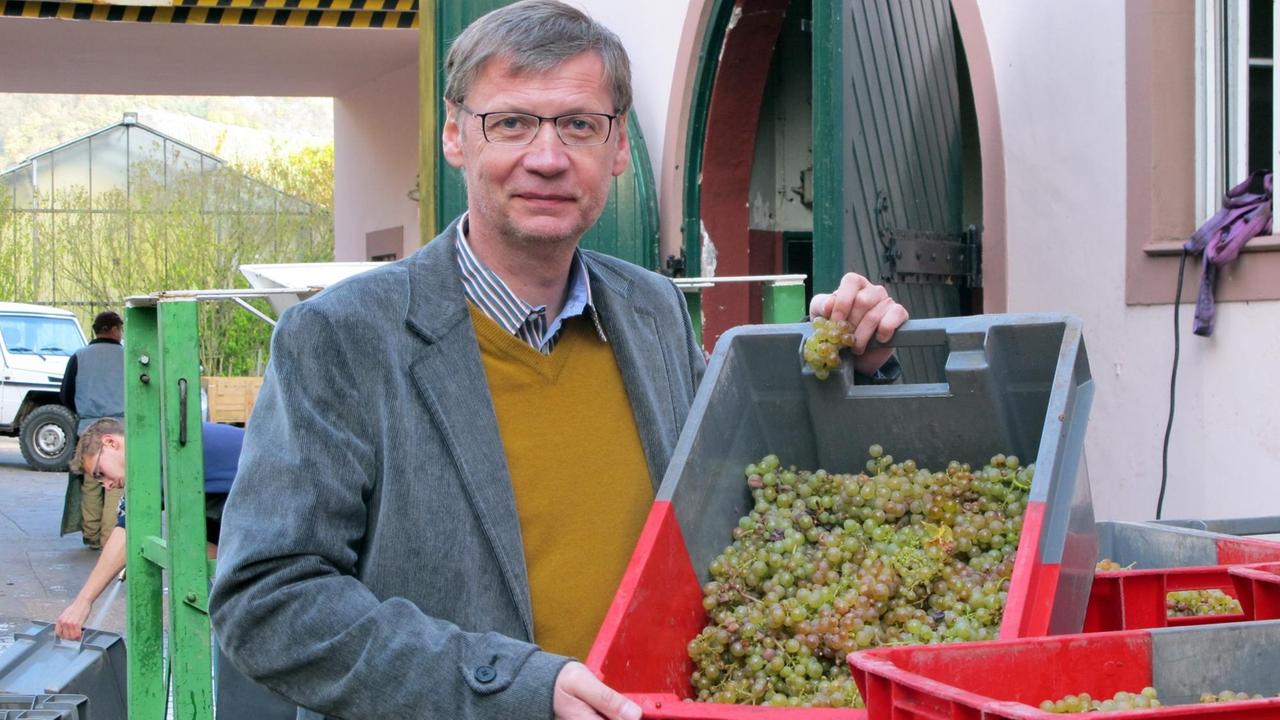 Günther Jauch steht im Hob seines Weingutes und hält eine rot-graue Plastikkiste voller grüner Weintrauben in die Kamera. 
