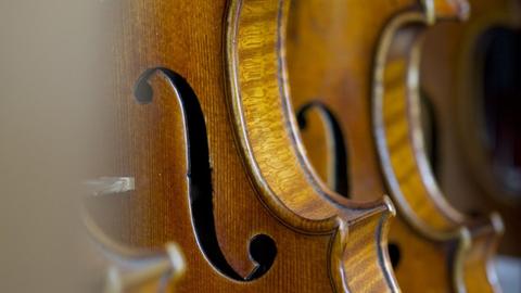 Blick von der Seite auf hintereinander gestellte Geigen.