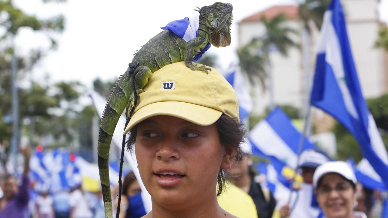 Mit einem Leguan auf dem Kopf protestiert diese Frau gegen die Regierung. Mit einem Leguan auf dem Kopf protestiert diese Frau gegen die Regierung.