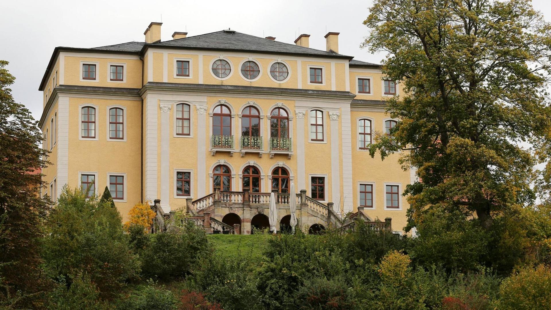 Das gelbe Barockschloss auf einem Hügel mit großer Freitreppe, die von alten Bäumen umgeben ist.