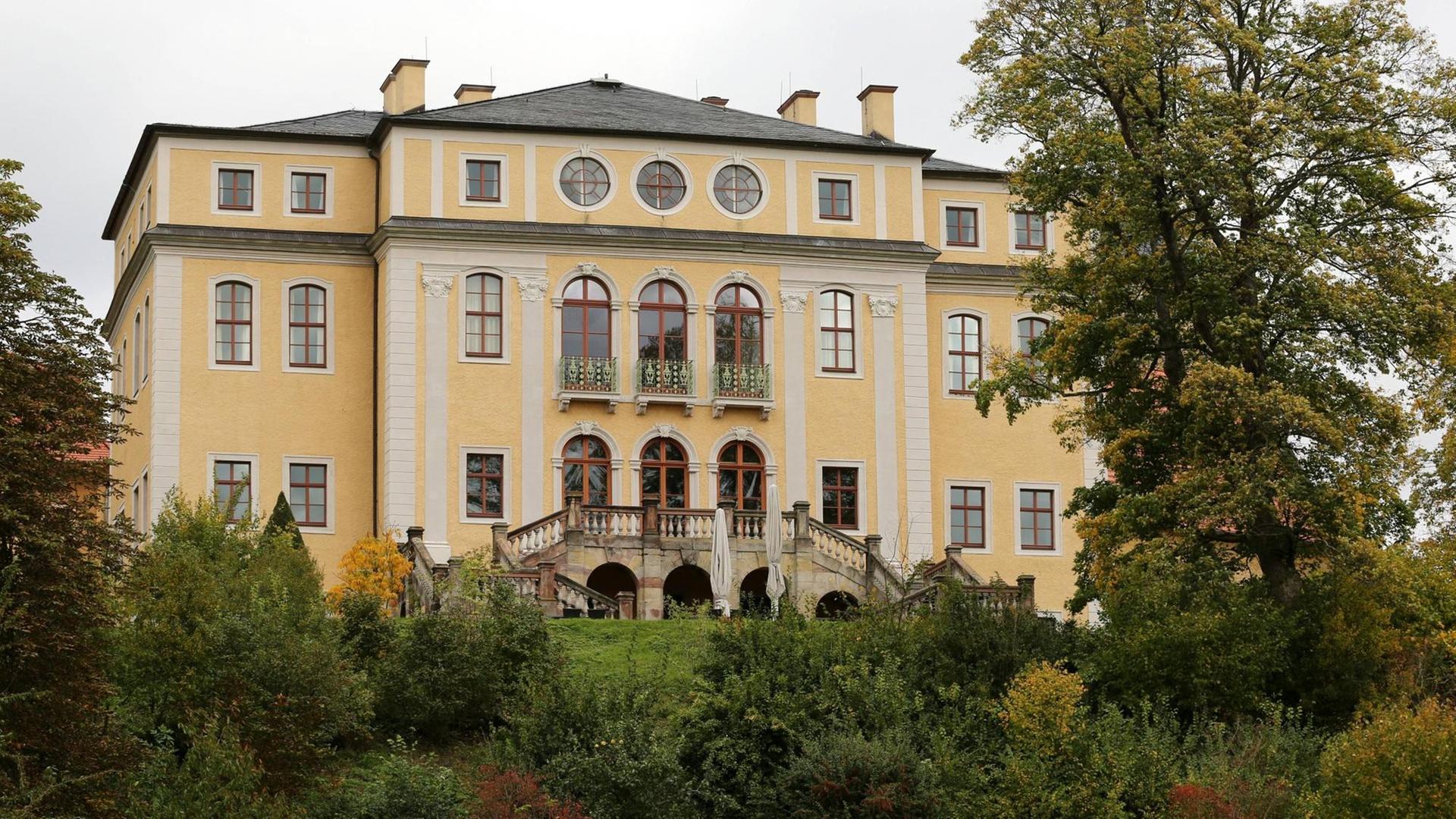 Das gelbe Barockschloss auf einem Hügel mit großer Freitreppe, die von alten Bäumen umgeben ist. Das gelbe Barockschloss auf einem Hügel mit großer Freitreppe, die von alten Bäumen umgeben ist.