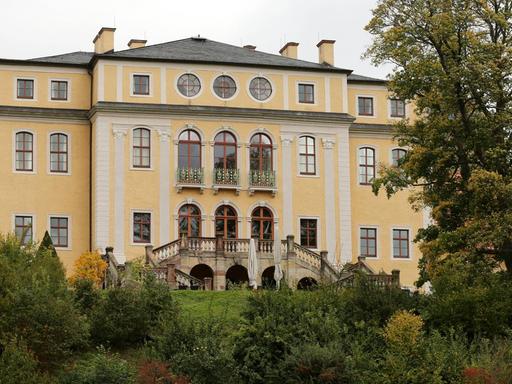 Das gelbe Barockschloss auf einem Hügel mit großer Freitreppe, die von alten Bäumen umgeben ist.