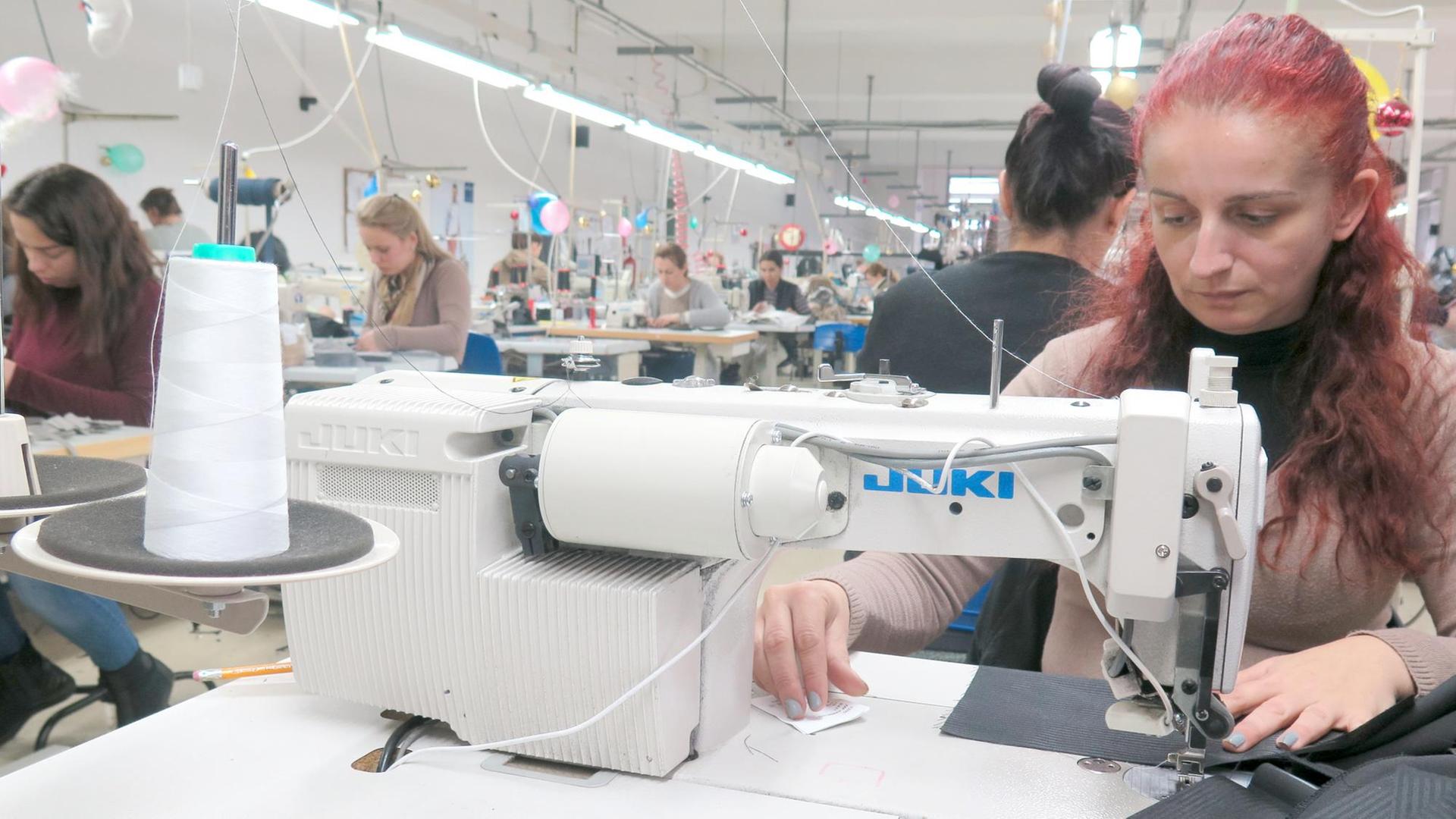Näherinnen in einer Textil-Manufaktur in der mazedonischen Hauptstadt Skopje. Hier werden Herrenhosen für Deutschland und Skandinavien hergestellt. Näherinnen in einer Textil-Manufaktur in der mazedonischen Hauptstadt Skopje. Hier werden Herrenhosen für Deutschland und Skandinavien hergestellt.