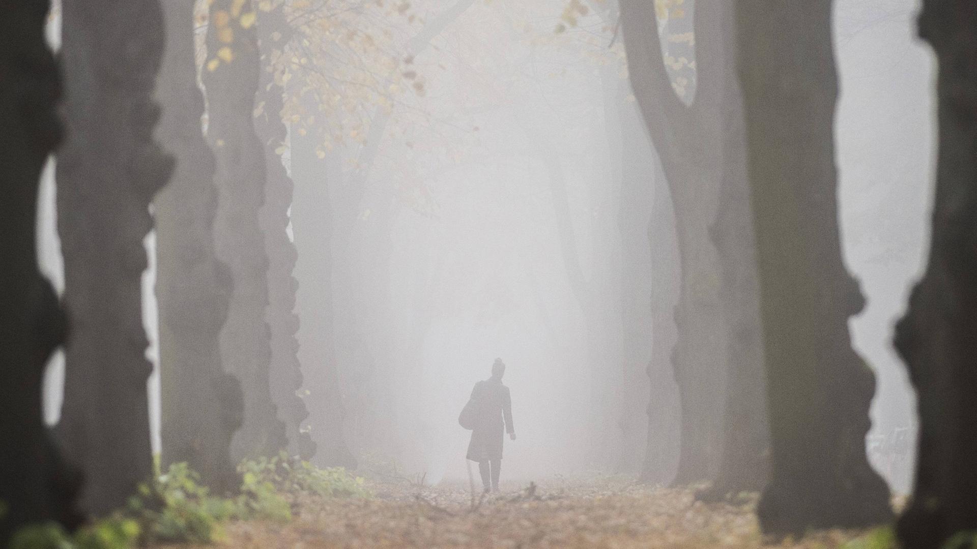 Eine Frau läuft morgens durch eine neblige Allee Eine Frau läuft morgens durch eine neblige Allee