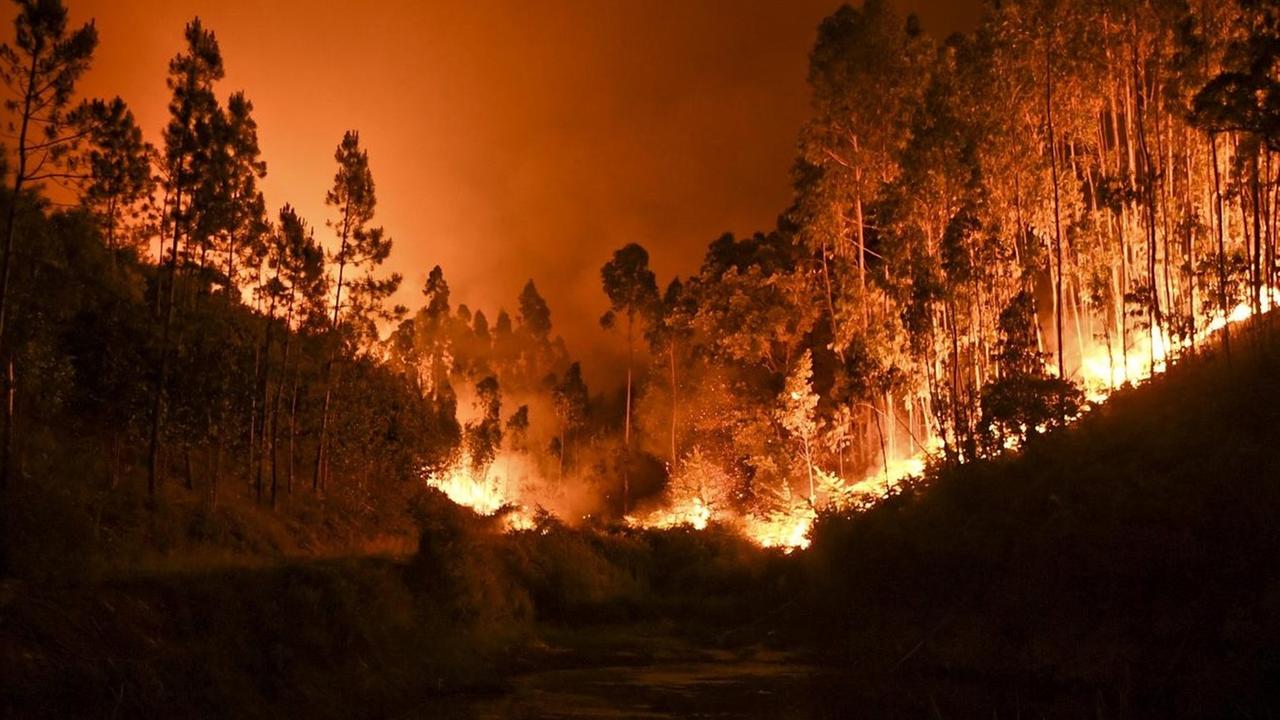 Waldbrand in Penela, Coimbra, Portugal am 18. Juni 2017 Waldbrand in Penela, Coimbra, Portugal am 18. Juni 2017