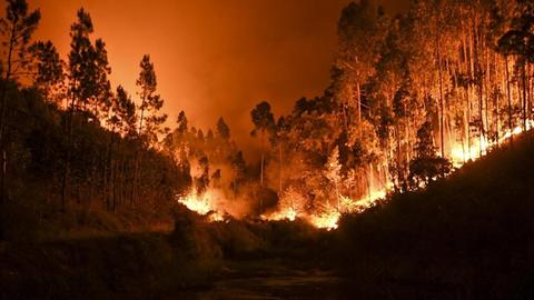 Waldbrand in Penela, Coimbra, Portugal am 18. Juni 2017