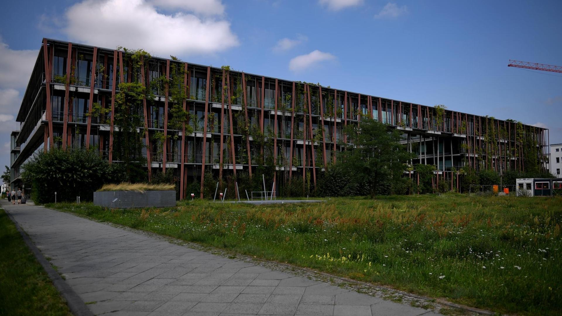 Ein mehrstockiges Gebäude mit begrünter Fassade, davor ein Weg und eine Wiese. Es handelt sich um das Instituts für Physik der HU Berlin, an dem ein Konzept der Schwammstadt umgesetzt wurde. Ein mehrstockiges Gebäude mit begrünter Fassade, davor ein Weg und eine Wiese. Es handelt sich um das Instituts für Physik der HU Berlin, an dem ein Konzept der Schwammstadt umgesetzt wurde.