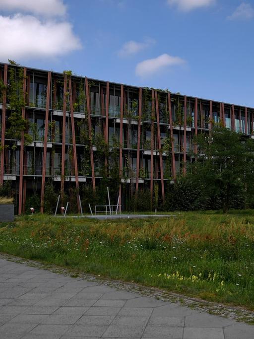 Ein mehrstockiges Gebäude mit begrünter Fassade, davor ein Weg und eine Wiese. Es handelt sich um das Instituts für Physik der HU Berlin, an dem ein Konzept der Schwammstadt umgesetzt wurde.
