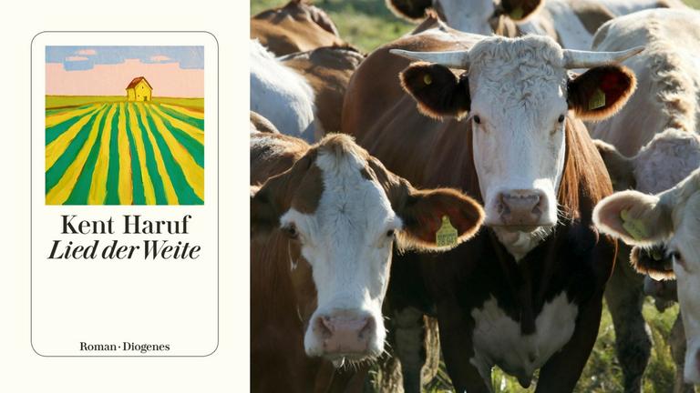 Buchcover Kent Haruf: Lied der Weite und Rinderherde Buchcover Kent Haruf: Lied der Weite und Rinderherde