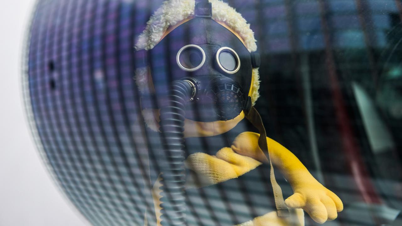 Ein Biene aus Stoff mit Gasmaske ist während einer Demonstration in Berlin hinter einer Autoscheibe zu sehen. Ein Biene aus Stoff mit Gasmaske ist während einer Demonstration in Berlin hinter einer Autoscheibe zu sehen.