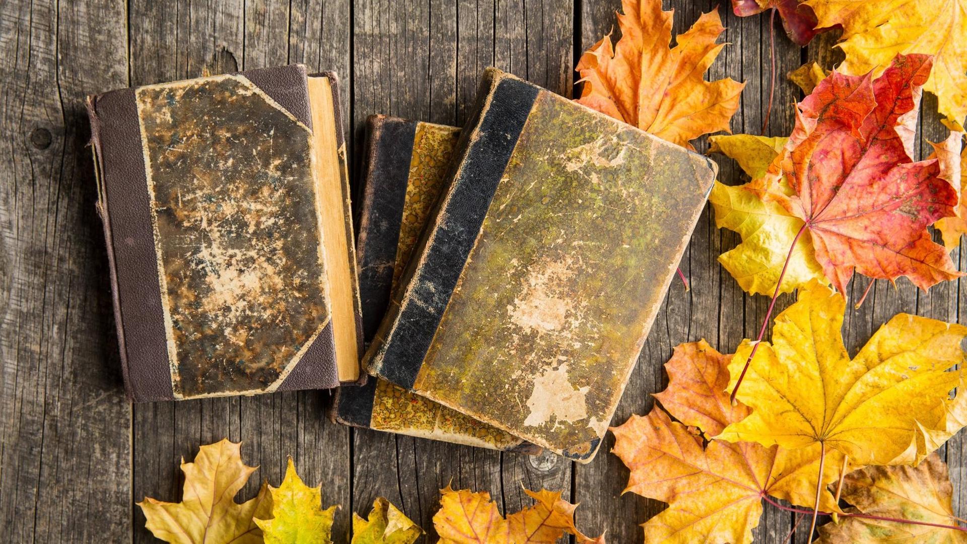 Bücher und Laub im Herbst