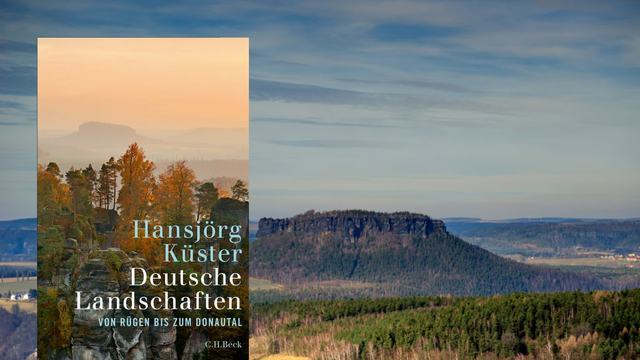 Cover: Hansjörg Küster: Deutsche Landschaften
