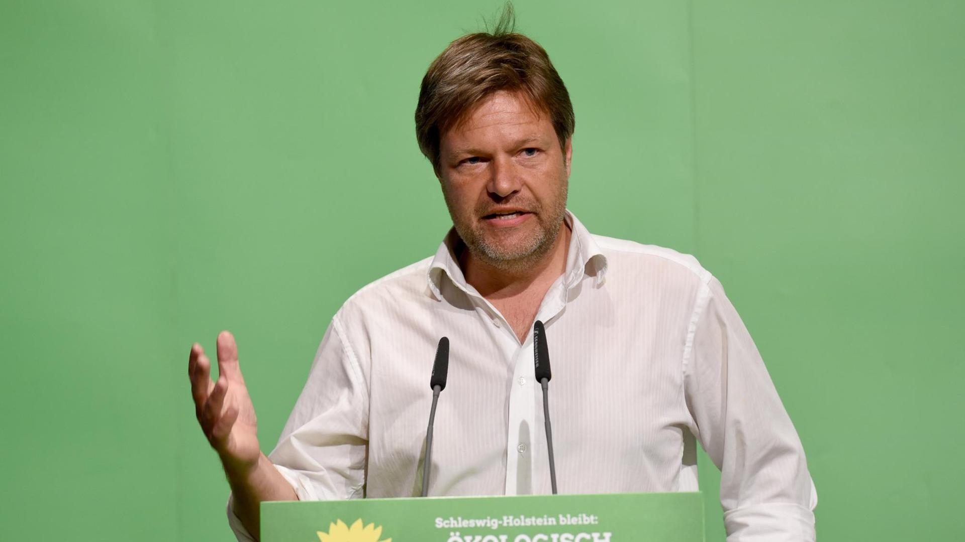 Der schleswig-holsteinische Umwelt- und Landwirtschaftsminister Robert Habeck (Bündnis90/Die Grünen) spricht in Neumünster bei einem Parteitag.